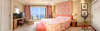 Hotel Torrequebrada 